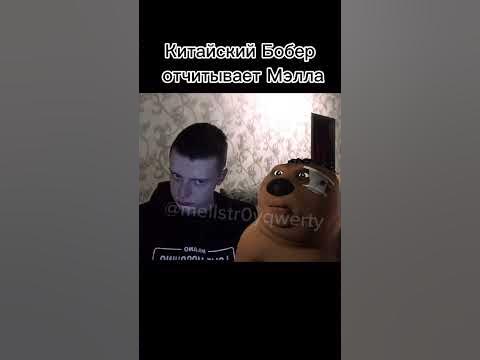 Китайский Бобер отчитывает Мэлл #glavstroy #mellstroy - YouTube