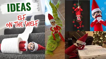 ¿Pueden los padres tocar al Elfo de la estantería sí o no?