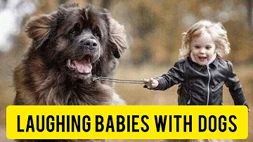 Funny Babies Laughing Hysterically at Dogs Compilation #hentai #kids #milftoon #lfunny #apple #toys