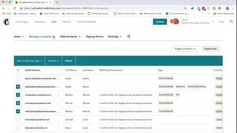 How To Bulk Add Tags in Mailchimp