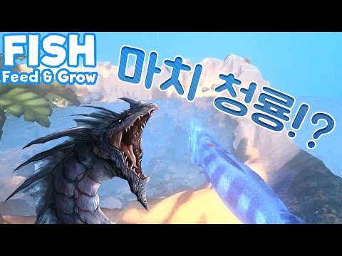 하늘을 나는 청룡 물고기 등장!? 개사깈ㅋㅋㅋㅋㅋㅋㅋ '피드 앤 그로우 피쉬' (Feed And Grow Fish)[중력유튜브]