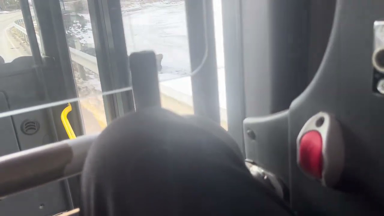 Vestfold Scania LK 280 UB4x2LB OmniExpress 3.20 LE 13.0 #3313 Line 01 (part 2)