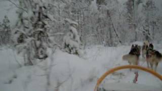 snow sledding part 3 .AVI