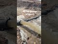 #40 hp pump project #