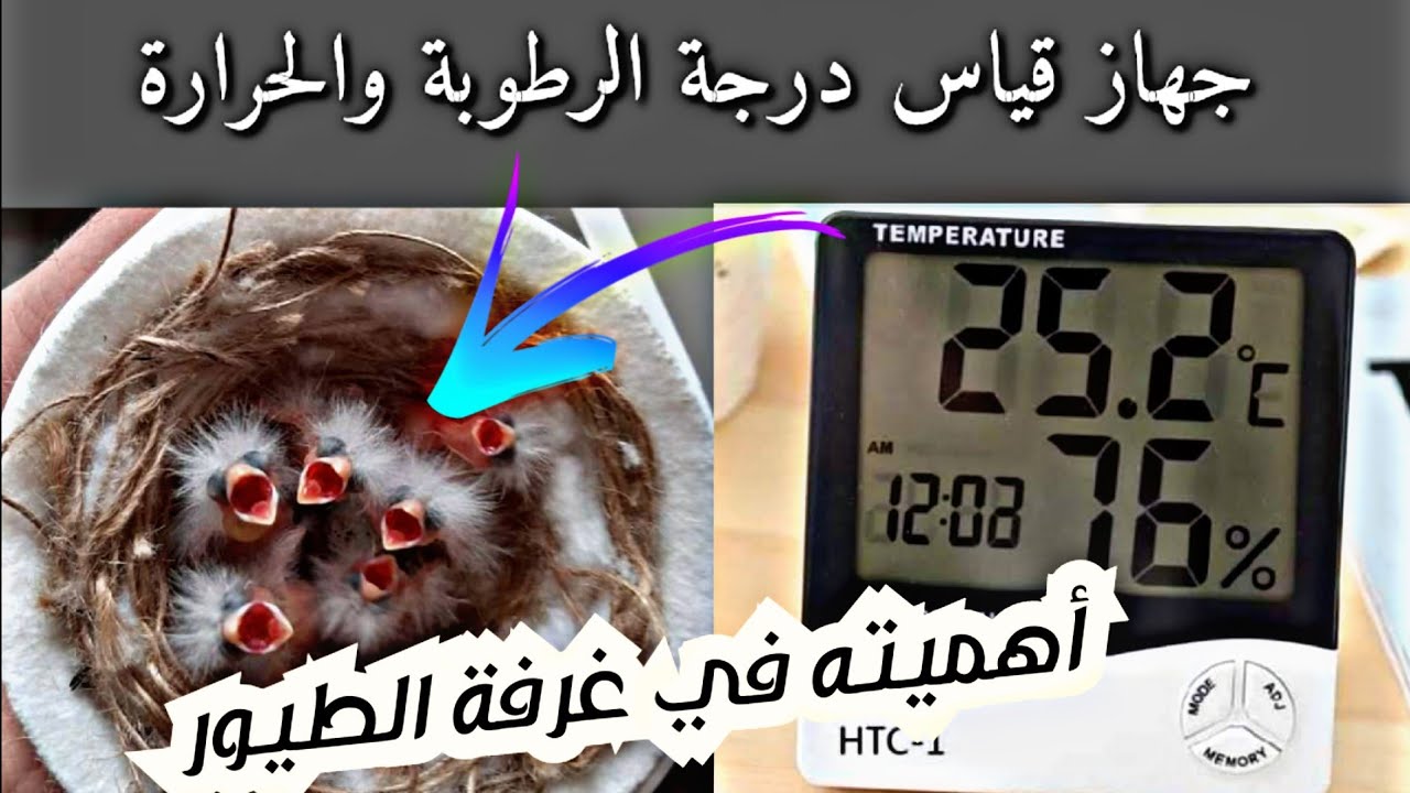 جهاز قياس درجة الرطوبة والحرارة( Thermometer) و أهميته في موسم تزاوج طيور الكناري