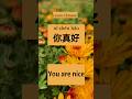 Must-Know Chinese Short Phrases for Daily Conversations #learnchinese #chineseforbeginners