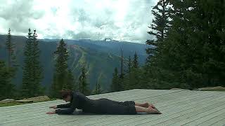 Medical Yoga Rx for Arthritis screenshot 3