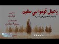 شيله ياعيال قوموا نبي صفين اداء قايد الوبيري