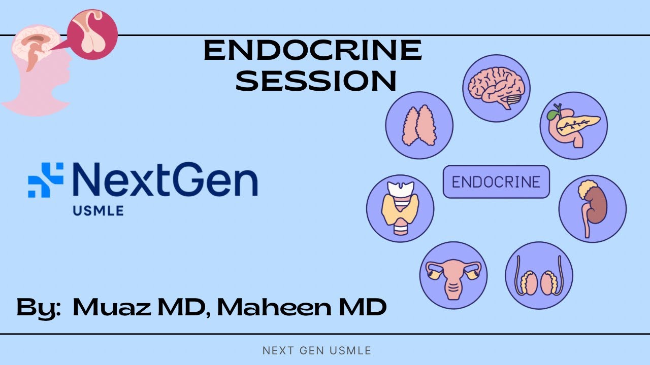 NextGen USMLE 120 Days Step 1 Marathon Endocrine System Day 2 | 28th ...