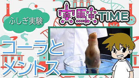 メントスコーラ小学生 メントスコーラ小学生
