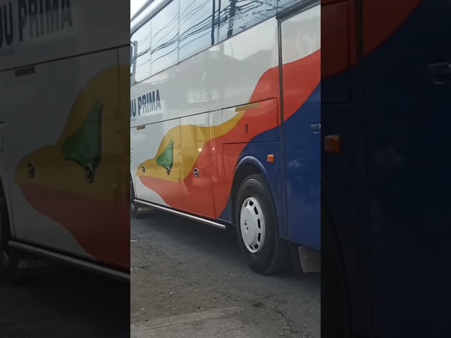 TELOLET BASURI BUS LAJU PRIMA 249 INSOMNIA SAAT BERANGKAT DARI TERMINAL NGAWEN BLORA class=