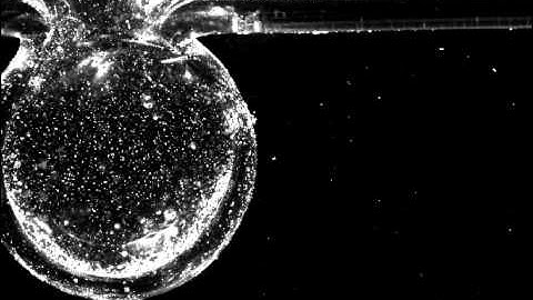 flow visualization around aneurysm model (Re=570)