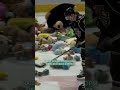 ФАНАТЫ ЗАБРОСАЛИ ЛЕД ИГРУШКАМИ