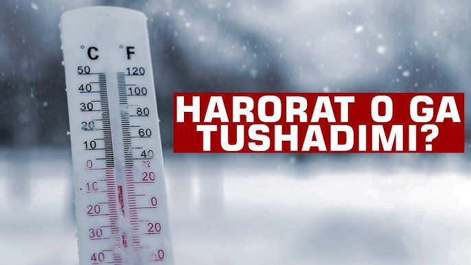 Qadimgi amni katta eshak Jinsiy aloqada kim sezgirroq, yigitlar yoki qizlar?