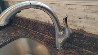 Delta Faucet Linden Single-Handle Kitchen Sink Faucet with Pull Out Sprayer, Arctic Stainless