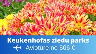 Beļģija-Holande-Keukenhofas ziedu parks2024