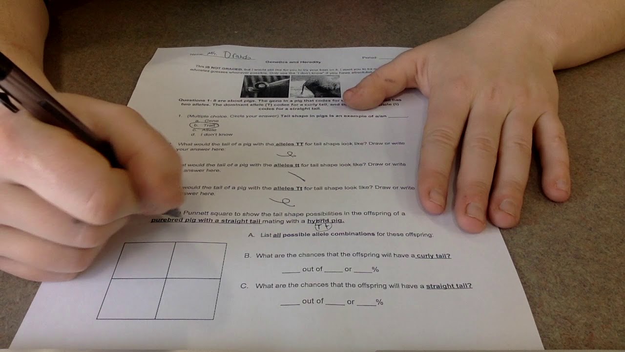 Front page of pretest explained 