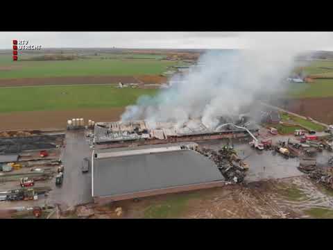 DRONE: Voor derde keer brand bij boerderij Werkhoven, tientallen koeien dood [RTV Utrecht]