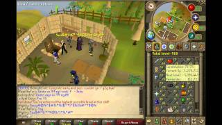[Runescape] 50 Days of Botting - 99 Thieving / 99 Agility