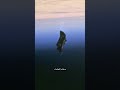القمر الصناعي الغامض… هل هو من صنع البشر أم من حضارة قديمة؟ #shorts