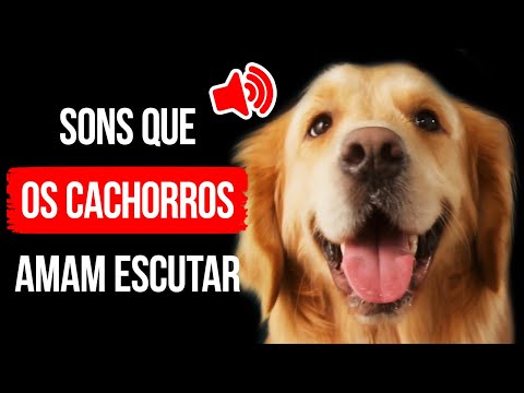 Vídeo: Por Que Os Cães Gostam De Brinquedos Barulhentos
