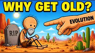 Why Couldn't Evolution Remove Aging