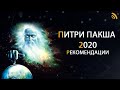 Питру Пакша 2020. Рекомендации | Дмитрий Пономарев