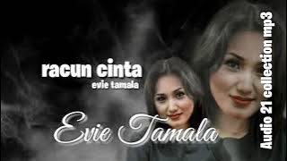 RAcun cinta - evie tamala