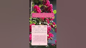 تلاوة هادئة | ارح سمعك عن ضجيج الحياة 🎧🤍-القارئ إسلام صبحي
