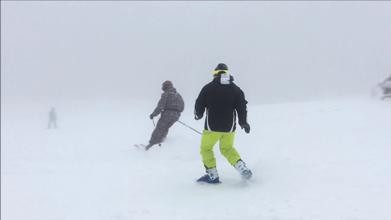 Sled Dogs Snowskates Slovakia YouTube