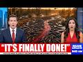 Footage From Florida’s Swamps Reveals the Aftermath Nobody Expected