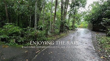 Refreshing Walk in Rain Through Paddy Fields of Panerusan Village in Indonesia | ASMR