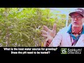Best Water Source For Growing In SoHum Living Soils?