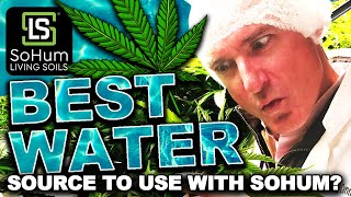 Best Water Source For Growing In SoHum Living Soils?