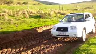 Subaru Forester xt 2007 in the mud