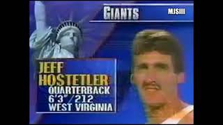 1990 NFC Divisional Chicago Bears at New York Giants