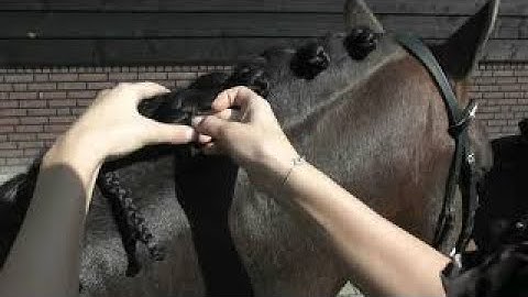 Quick Knot Deluxe® tutorial for the perfect horse braids/plaits