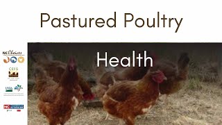 Pastured Poultry Production Welfare, Health and Biosecurity - Teaching Tools for Beginning Farmers