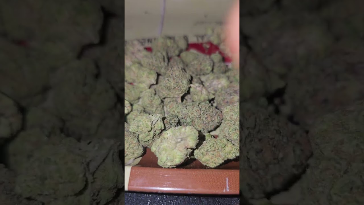 Освещенные фермы фонтанируют минтц