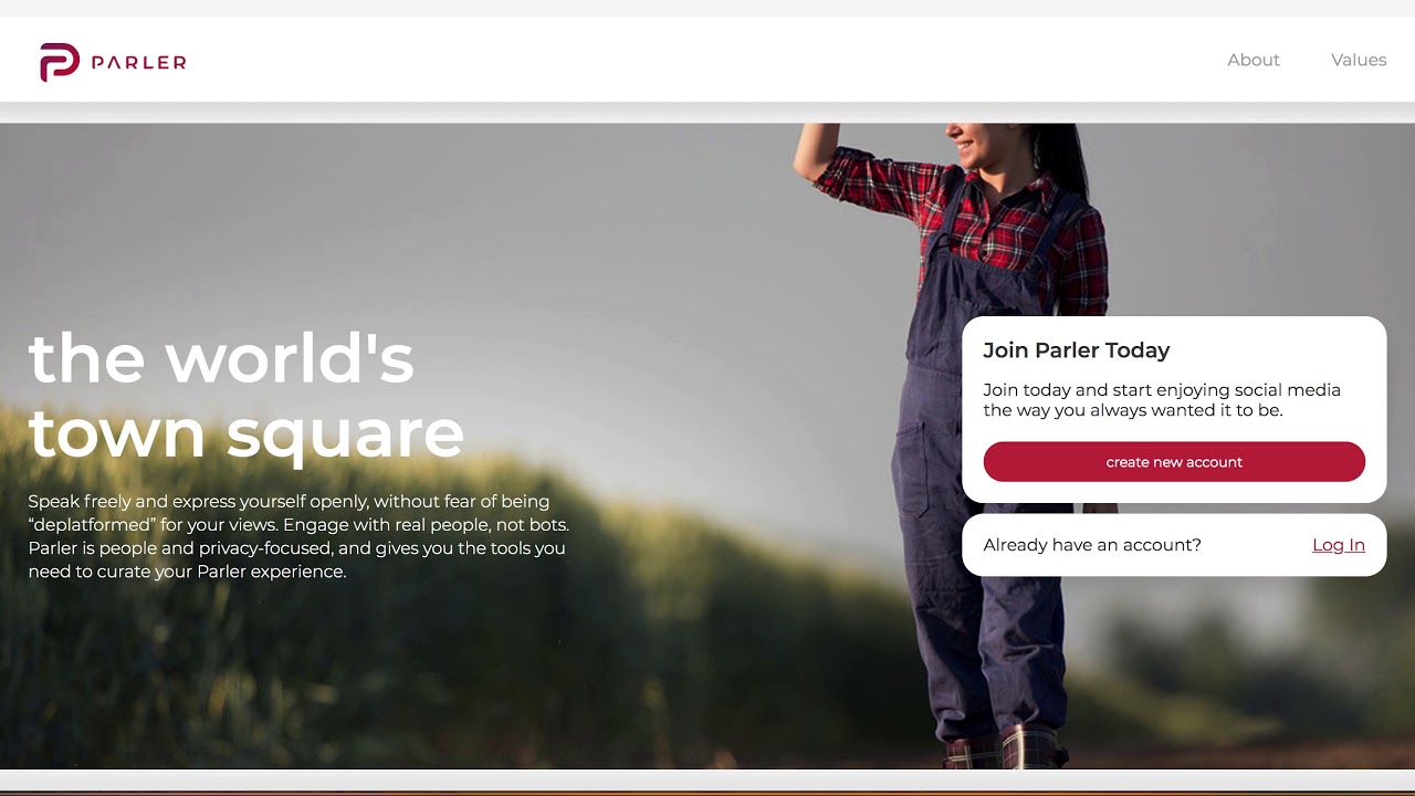 Bullish on Ripple XRP | Alternatives to Mainstream Media