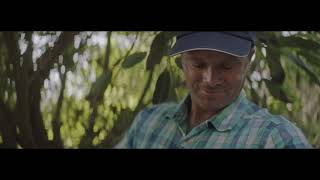 California Avocado Growers Meet The Abbott Family