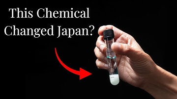 How One Factory Created a Warning the World Still Ignores