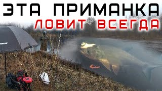 Ловля ПАССИВНОГО жереха на спиннинг весной / Эта приманка ловит всегда