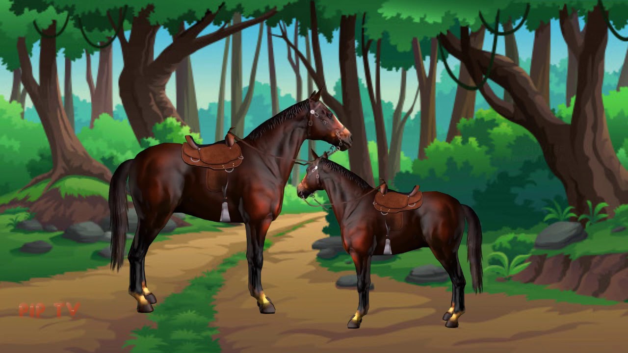 Animals Name English and Bengali | প্রাণীর নাম | PIPTV - YouTube