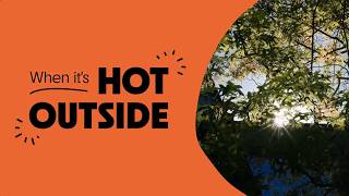Best Bird Food for Hot Weather | No Melt Suet for Summer Feeding