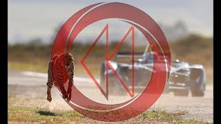(Reverse Plus) Drag Race: Formula E Car vs Cheetah
