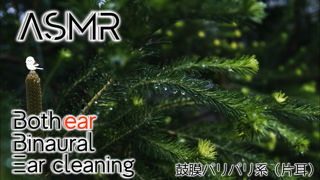 【ASMR/Ear Cleaning/Binaural】刺激強めのパリパリ耳かき【片耳版/耳かき/イヤホン必須】