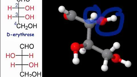 O que diferencia uma tetrose de uma Pentose?