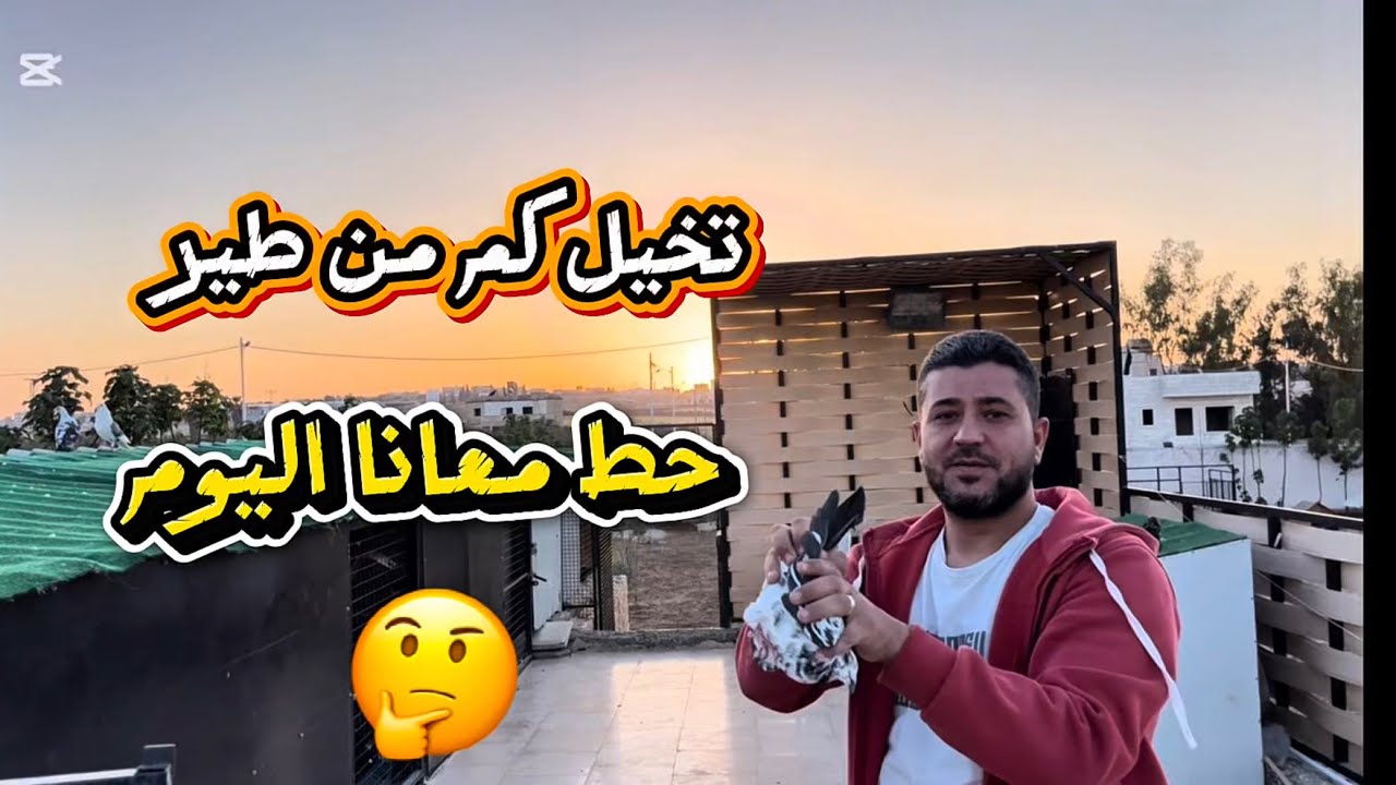 كش خرافي اليوم!! 🕊🔥طيّرنا الحمام وخلط معنا 20 طير غريب 🕊💨#حمام_كش #كش_الحمام #حمام_طيار #طيور_كش👑✨🪶