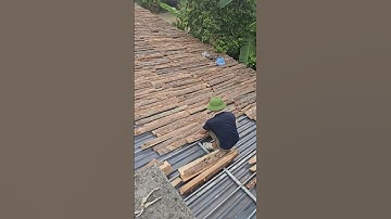 Chống nóng mái tôn